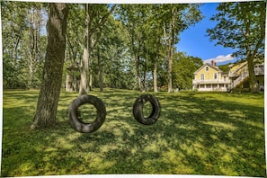 Back yard tire swings