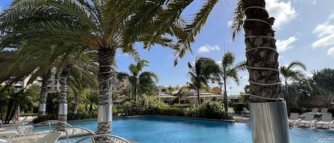 Gorgeous palm trees, plenty of lounge seats at this inviting pool area.