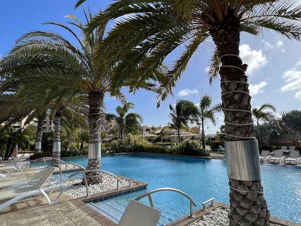 Gorgeous palm trees, plenty of lounge seats at this inviting pool area.