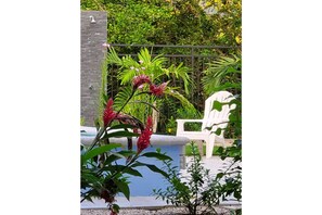 Terraço/pátio