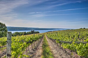 Farm/Vineyard On-Site | Lake Views