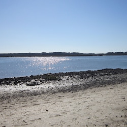 5 mins from The Sands, go look for some sharks teeth