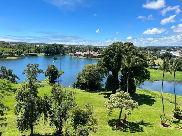 The ultimate Hilo View.  Magnificent.