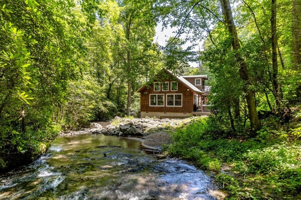 Experience this amazing setting of Bailey Bear Hideaway cabins.