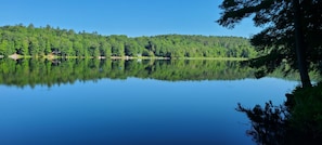 Järvi