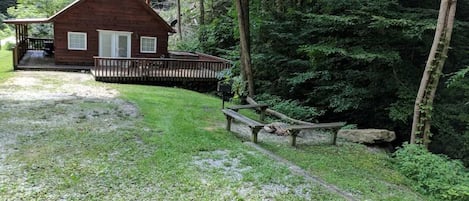 Driveway and Cabin