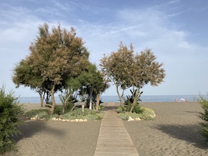 Strand