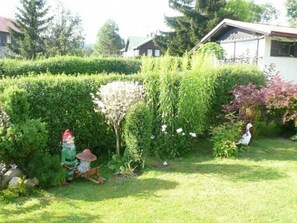 Pflanze, Blume, Pflanzengemeinschaft, Grün, Baum, Grundstueck, Vegetation, Hecke, Gras, Fenster