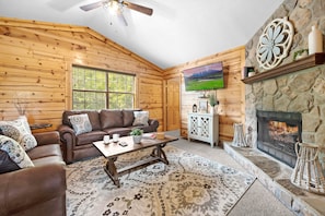 Living room, fireplace, smartTV, board games, sleeper sofa.