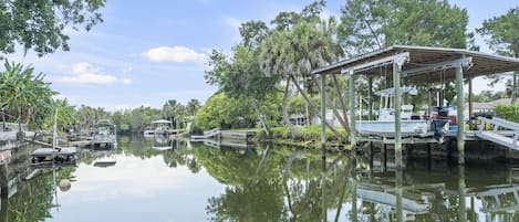 See manatees and porpoises from the floating dock in the backyard