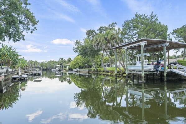 See manatees and porpoises from the floating dock in the backyard