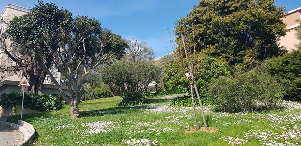 Terrain de l’hébergement 