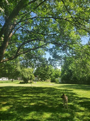Property grounds