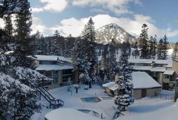 Tree, Hotel, Resort, Outdoors, Nature