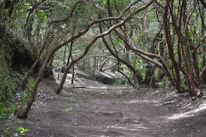 Boendeområde