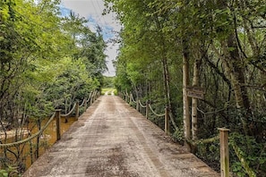 Driveway to our secluded countryside retreat.
