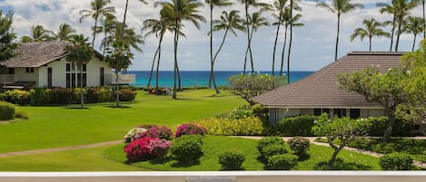 View From Lanai