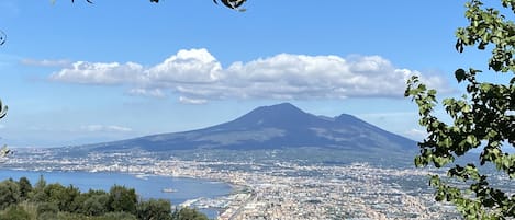 Vista Vesuvio dal nostro giardino 