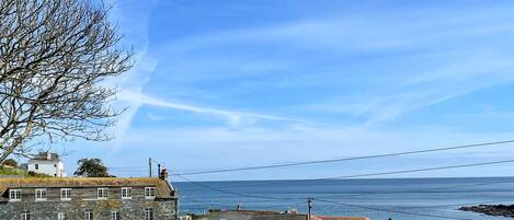 Beach/ocean view