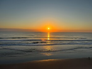Summer sunrise