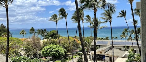 View of the ocean from the lanai.