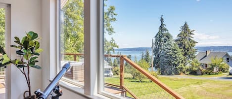 Handrail, Banister, Tree, Fir, Chair