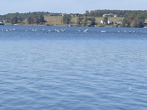 Övrigt