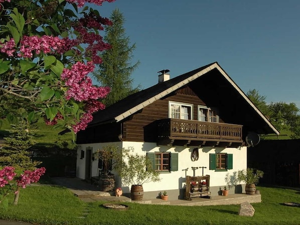 Exteriör