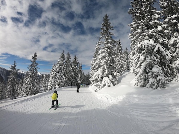 Skidåkning och snöaktiviteter