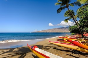 Your Maui escape starts here! Imagine sunny days, gentle waves, and vibrant canoes ready for adventure. Pure bliss!