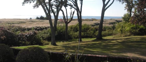 View from the front patio.