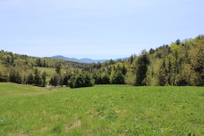 Ulkoalueet