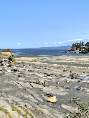 Low Tide at Rock Point - lots of tidal ponds to explore