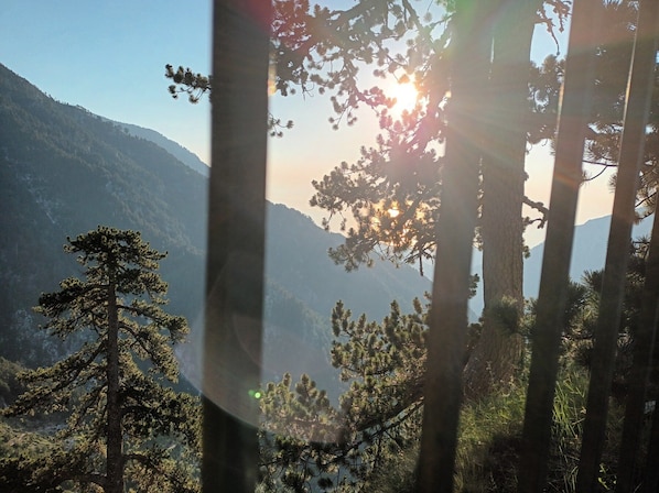 View from property