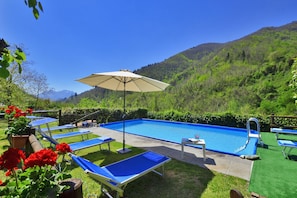 The equipped swimming pool and the surrounding greenery