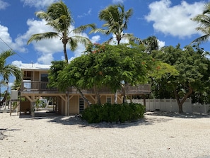 View of home from street 