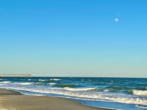 Myrtle Beach State Park