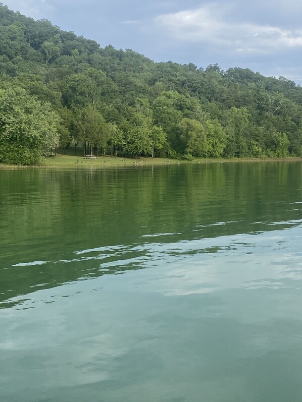 Lac