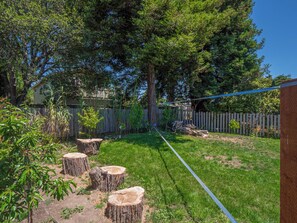 Kids love to the play in the backyard