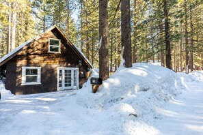 Cottage Backyard