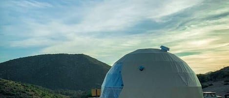 Geodesic dome with everything necessary to nourish your soul.
