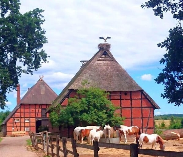 Terrenos do alojamento