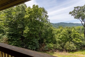 Mountain View from The Deck