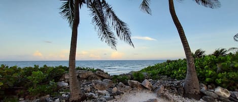 Ocean views from the neighborhood