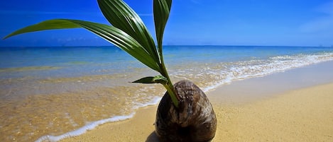 Spiaggia