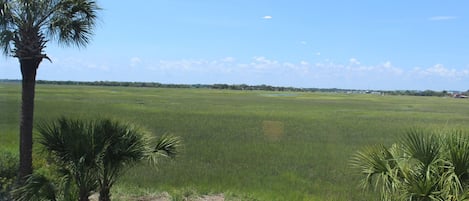 Marsh Views