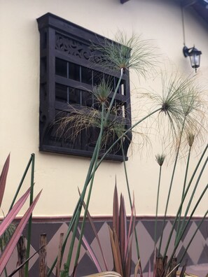 Exterior detail