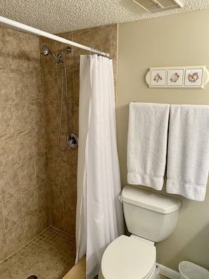 Master Bathroom:
Walk-in Shower