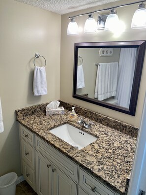 Master Bathroom:
Walk-in Shower
Hair Dryer