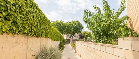 Plant, Cloud, Sky, Property, Nature, Leaf, Road Surface, Building, Vegetation, Tree